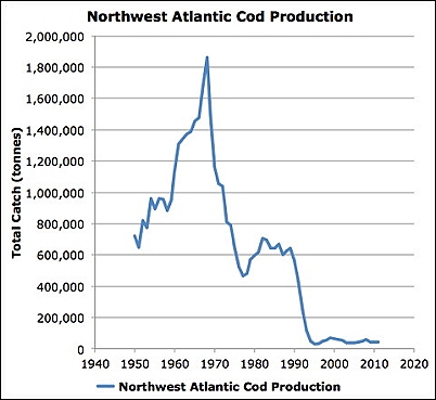 NorthwestAtlanticCodProduction