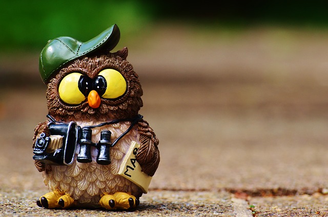 widget tripadvisor