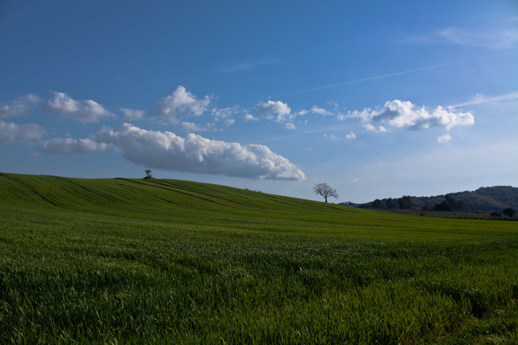 Buy Maremma Online: un evento per difendere il PIL di una destinazione. #BMO14