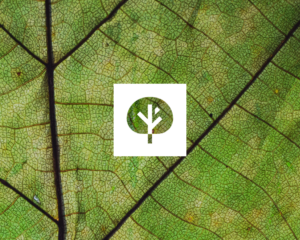 Destination Sustainability Index