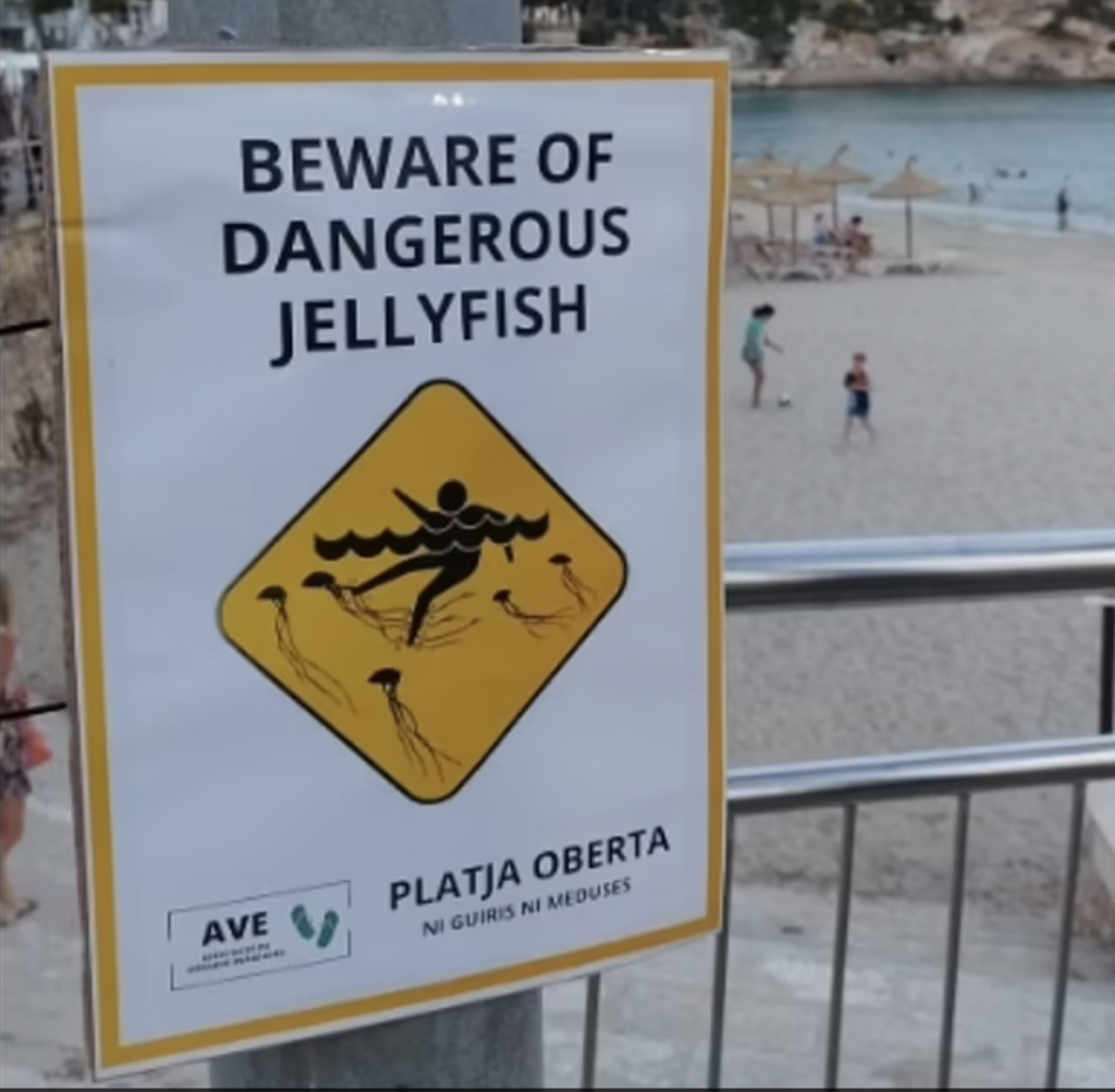 I cittadini spagnoli dicono no ai turisti britannici in spiaggia?