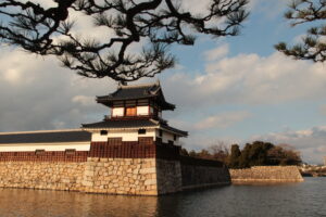 “Operator” e la rivoluzione del mondo dei viaggi