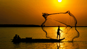 Digital Networks Act